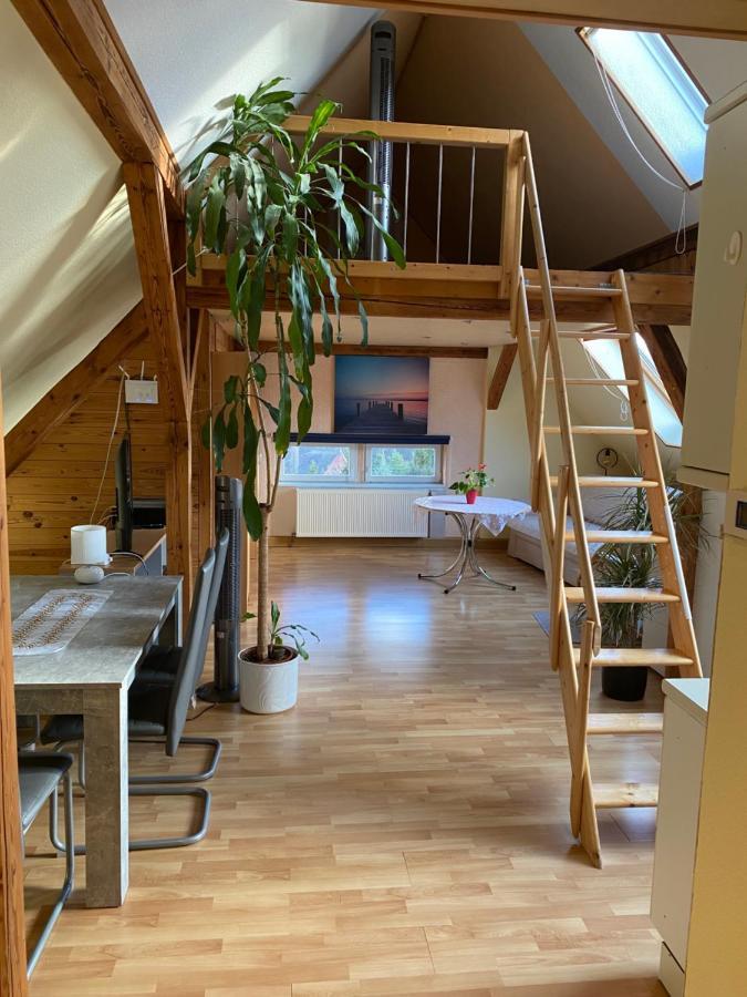 Helles Und Charmantes Loft Mit Herrlichem Blick Dresda Esterno foto