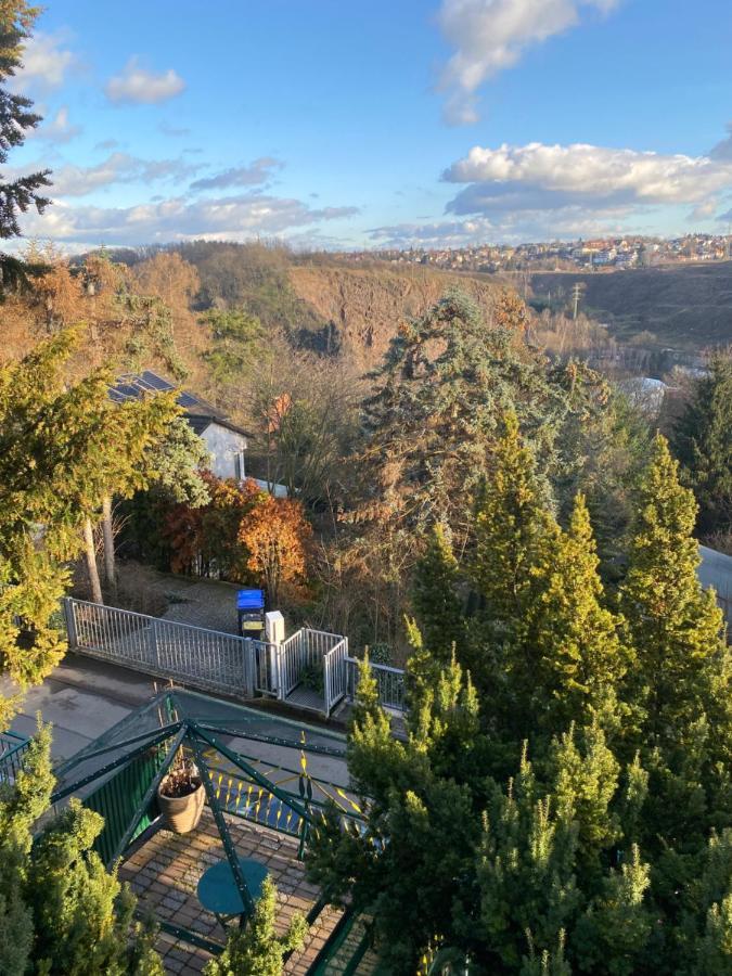 Helles Und Charmantes Loft Mit Herrlichem Blick Dresda Esterno foto
