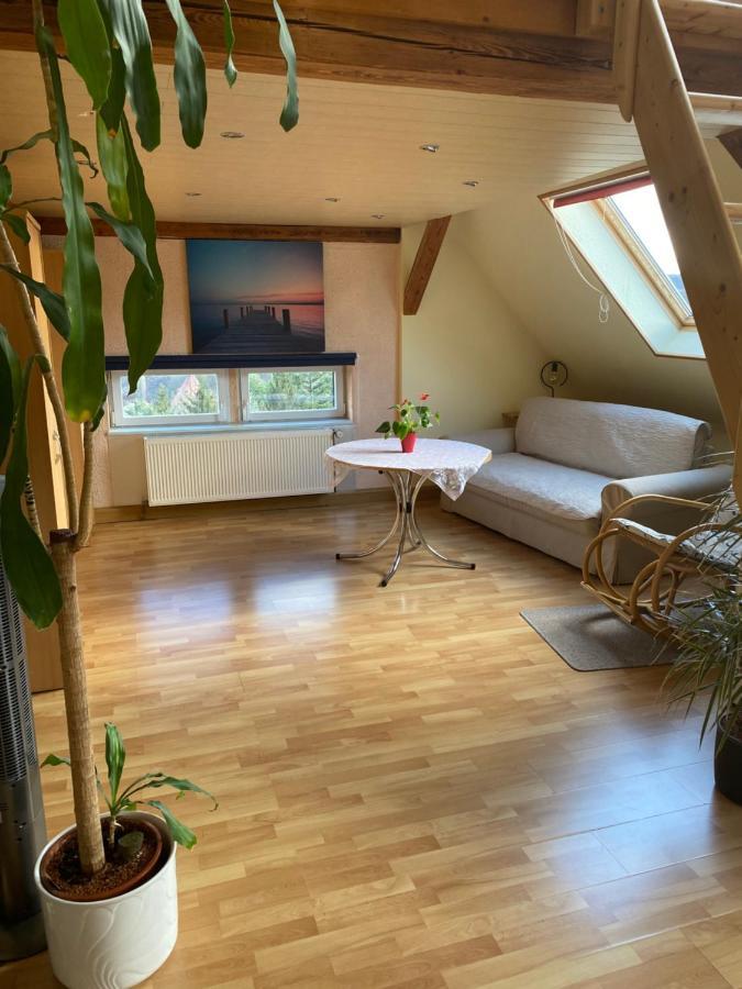 Helles Und Charmantes Loft Mit Herrlichem Blick Dresda Esterno foto