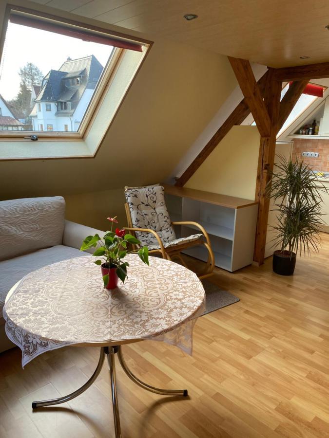 Helles Und Charmantes Loft Mit Herrlichem Blick Dresda Esterno foto