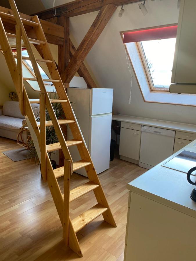 Helles Und Charmantes Loft Mit Herrlichem Blick Dresda Esterno foto