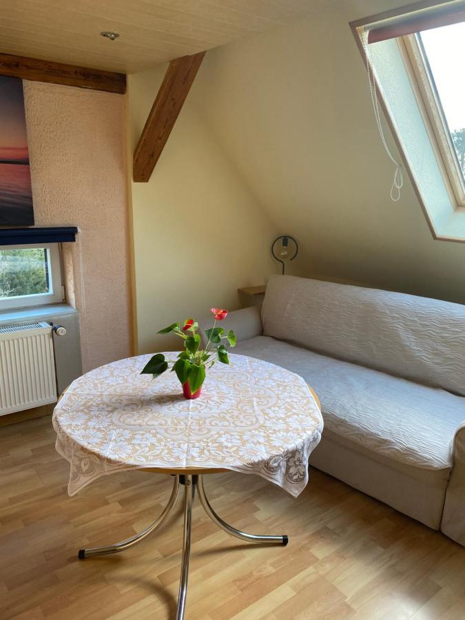 Helles Und Charmantes Loft Mit Herrlichem Blick Dresda Esterno foto
