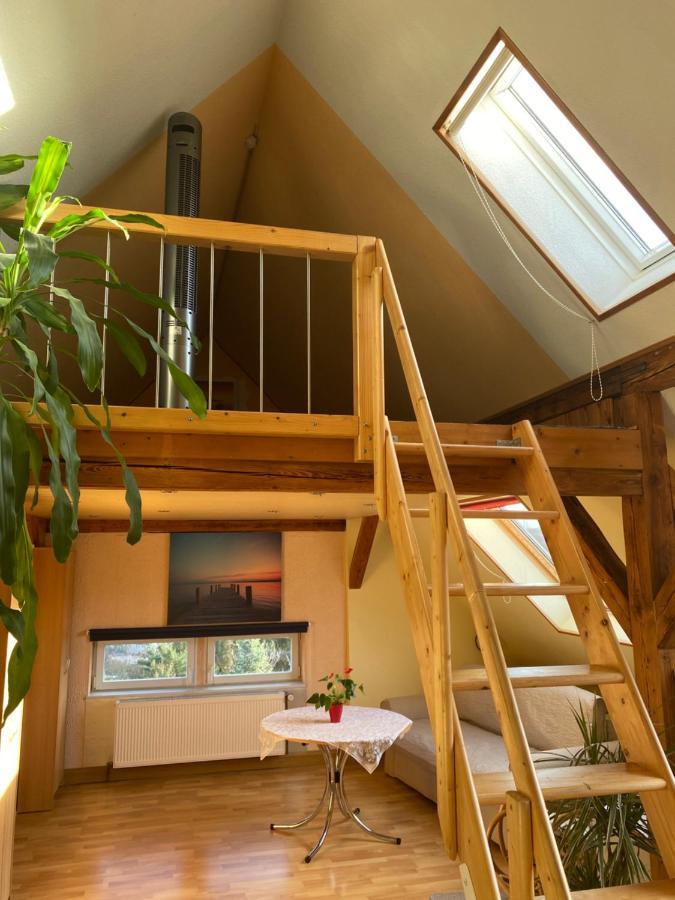 Helles Und Charmantes Loft Mit Herrlichem Blick Dresda Esterno foto