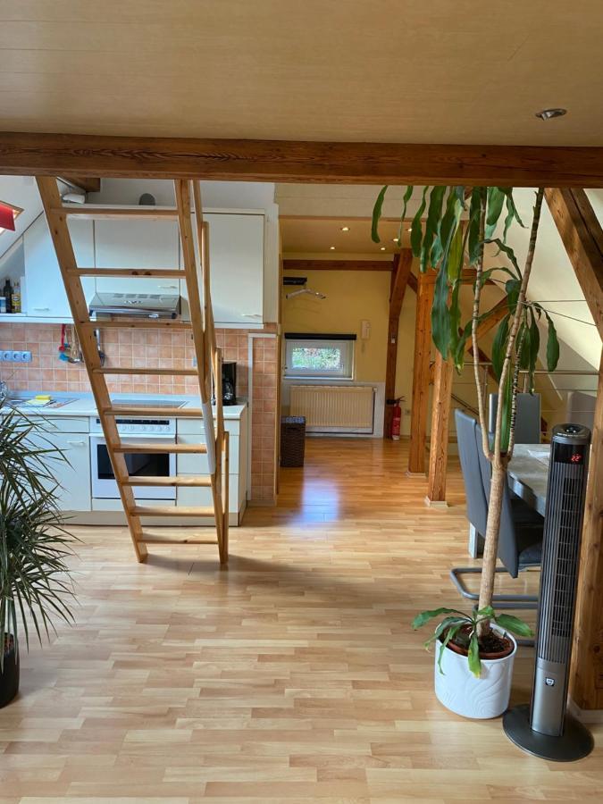 Helles Und Charmantes Loft Mit Herrlichem Blick Dresda Esterno foto